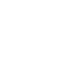 Trinnov Audio