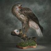 Buio Omega Soundtrack - Goblin-Audio-Exchange