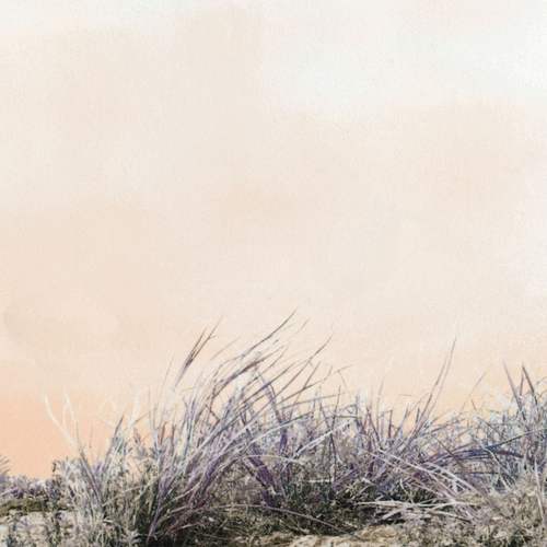 Love/Hate - Art-School-Audio-Exchange