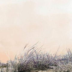 Love/Hate - Art-School-Audio-Exchange