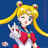 Sailor Moon: The 30th Anniversary Memorial Album - Anime Soundtrack - Audio - Exchange
