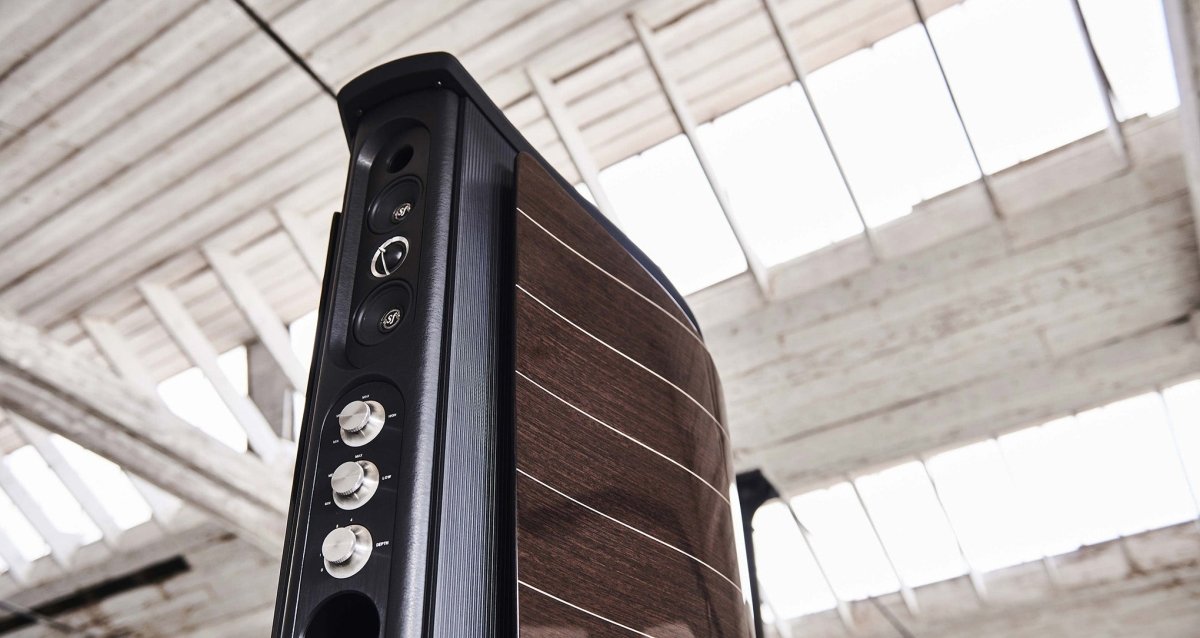 Sonus Faber Aida floorstanding speaker, angled rear view showing the sculpted cabinet