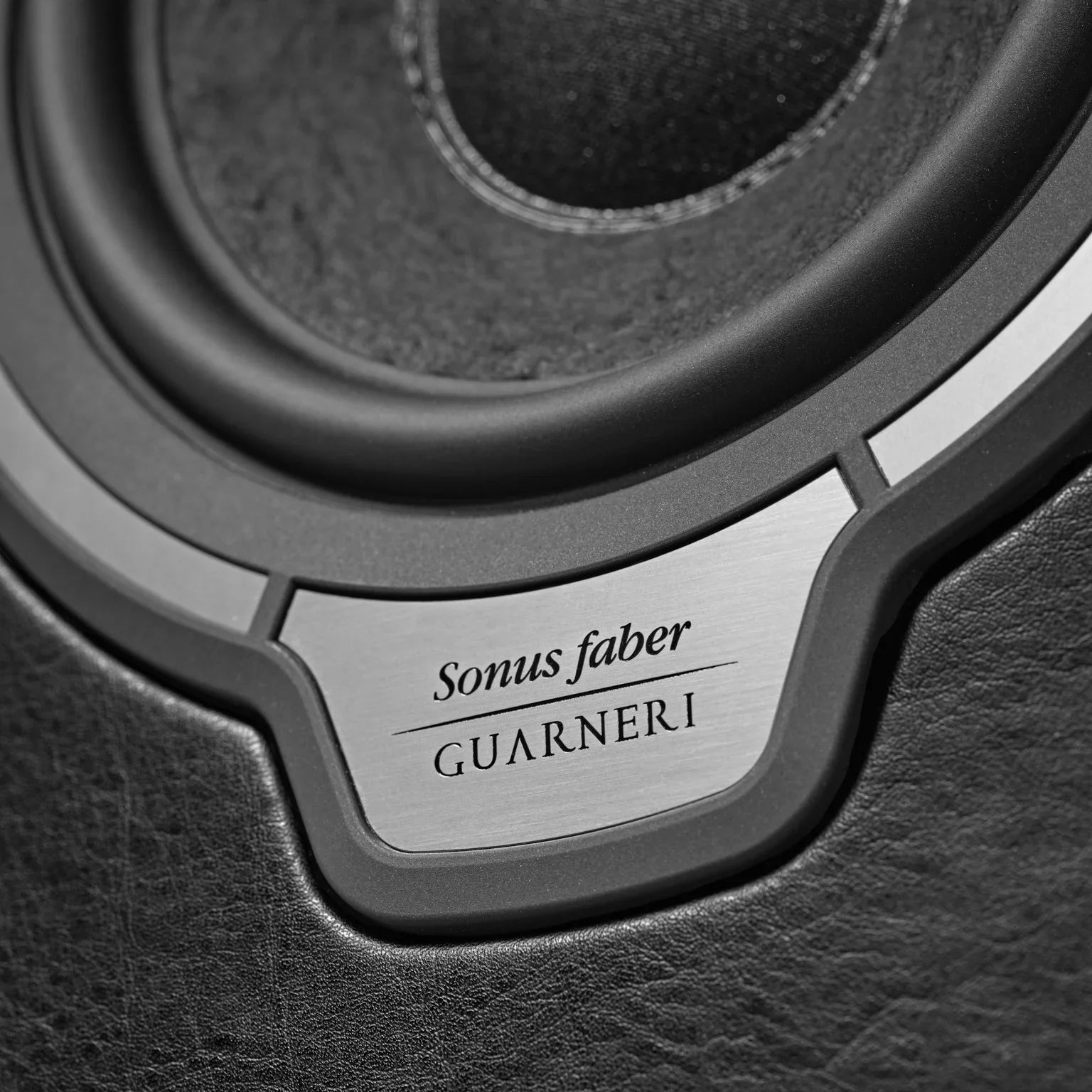 Close-up of Sonus Faber Guarneri G5 DAD tweeter and 150 mm midwoofer
