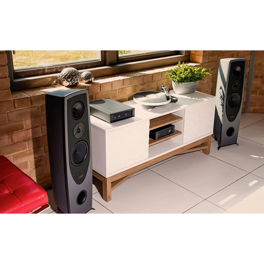 Home stereo setup with Rega Aya speakers and a console in a room with a window and plant.
