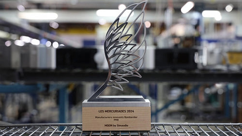 A close up of Moon by Simaudio's les mercuriades 2024 award.