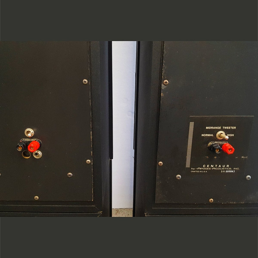 Apogee Acoustics Centaur -Black – USED – - Apogee Acoustics-Audio-Exchange