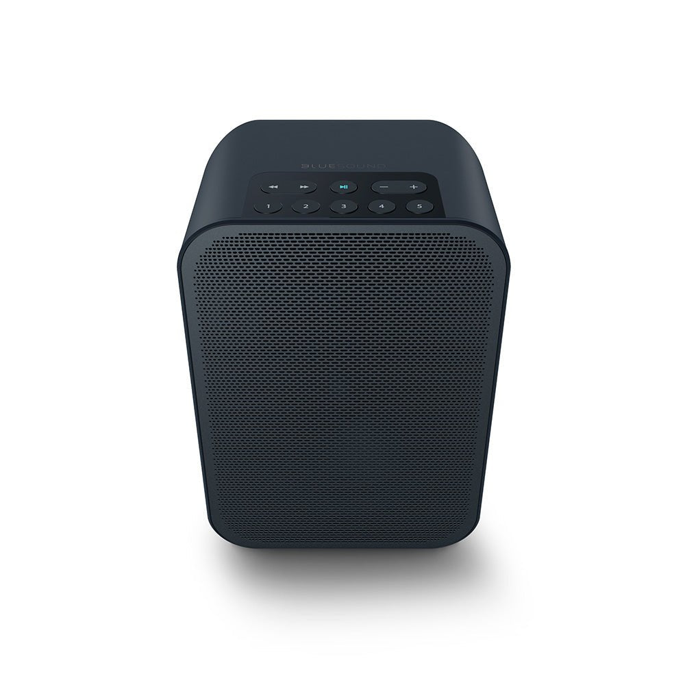 Bluesound Pulse Flex 2i Portable Wireless Multi-Room Music Streaming Speaker - Bluesound-Audio-Exchange