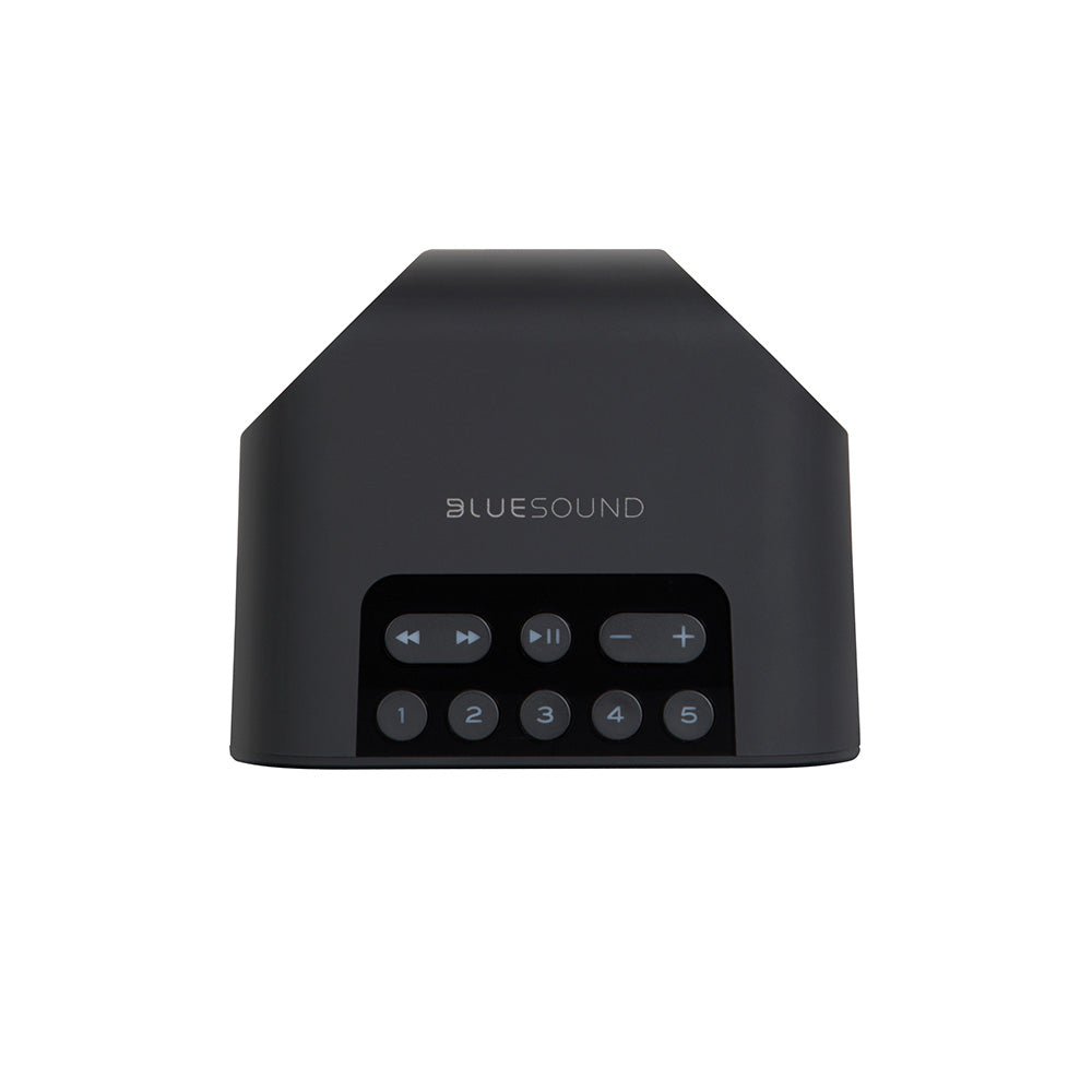 Bluesound Pulse Flex 2i Portable Wireless Multi-Room Music Streaming Speaker - Bluesound-Audio-Exchange