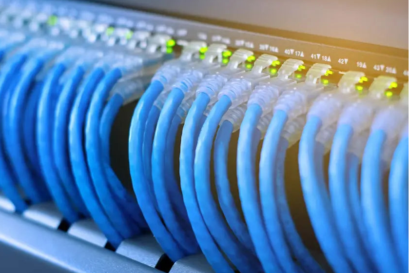 Close-up of blue Ethernet cables connected to a network switch.