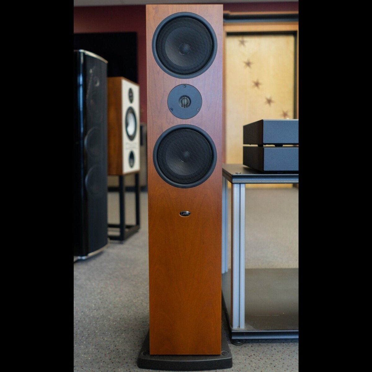 Linn Full Bundle Setup: Ninka Speakers, LK 85 Amplifiers, Aktiv Bi-Amp  Cards & More