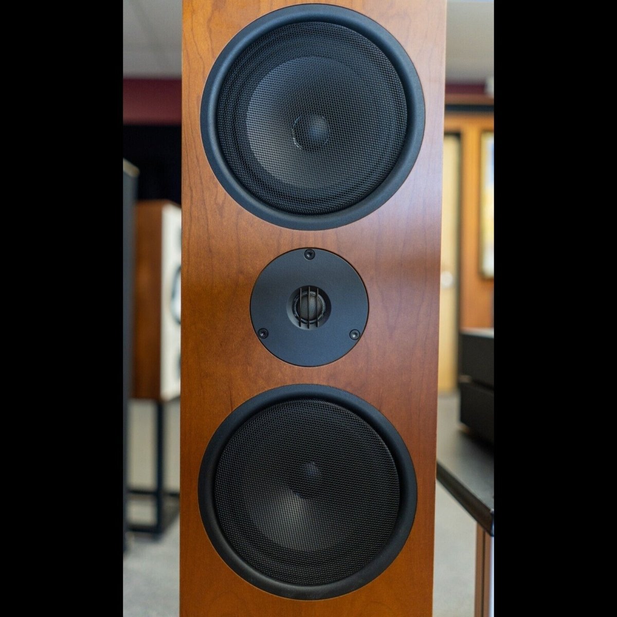 Linn Full Bundle Setup: Ninka Speakers, LK 85 Amplifiers, Aktiv Bi