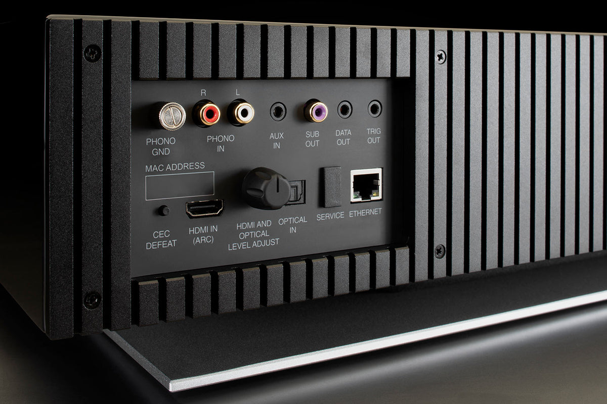 McIntosh RS250 rear inputs and network connections
