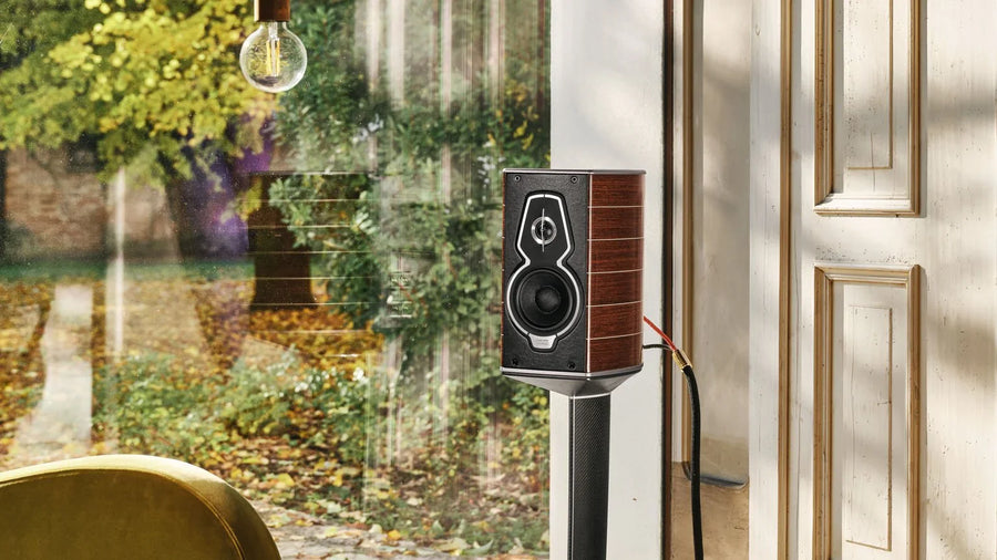 Sonus Faber Guarneri G5 bookshelf speaker in Wenge Wood on dedicated stand