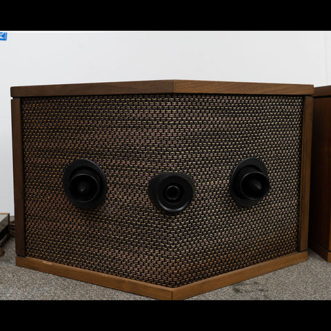 Bose 901 Series III Speaker System - (Refoamed)
